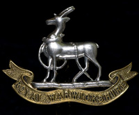  Royal Warwickshire Regiment